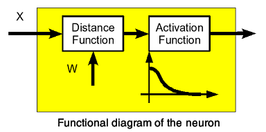 Functional diagram of the neuron